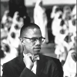 Meet your Posher, Darius